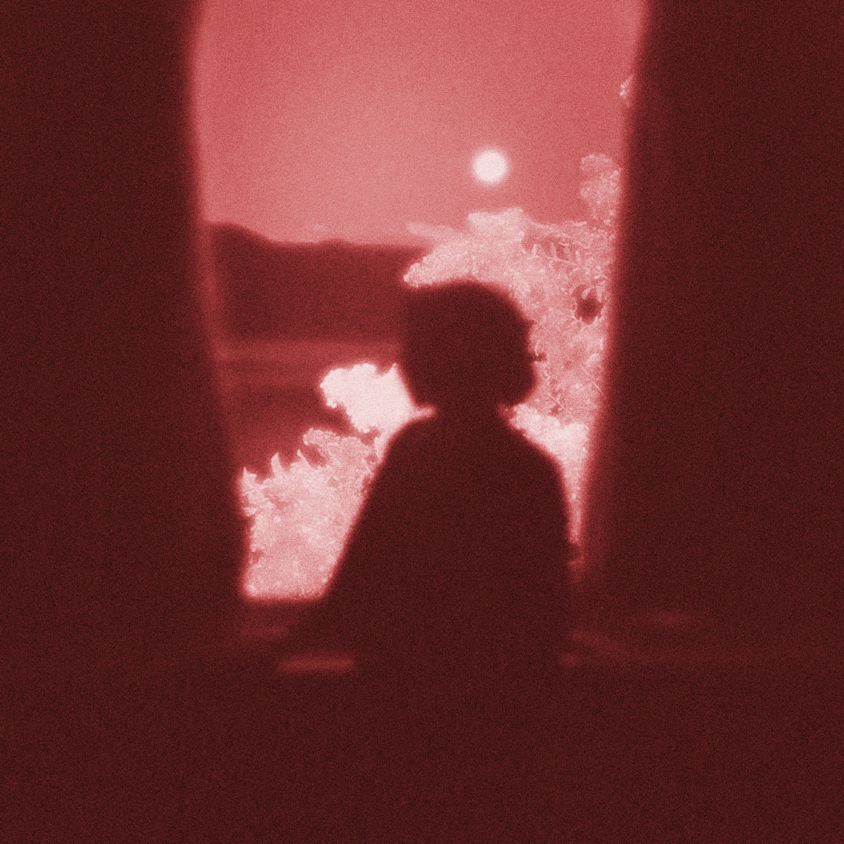I have nobody - Single by RED X album cover