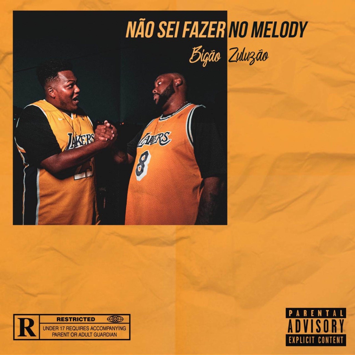 Não Sei Fazer no Melody - Single by Big Mike & Zuluzão album cover