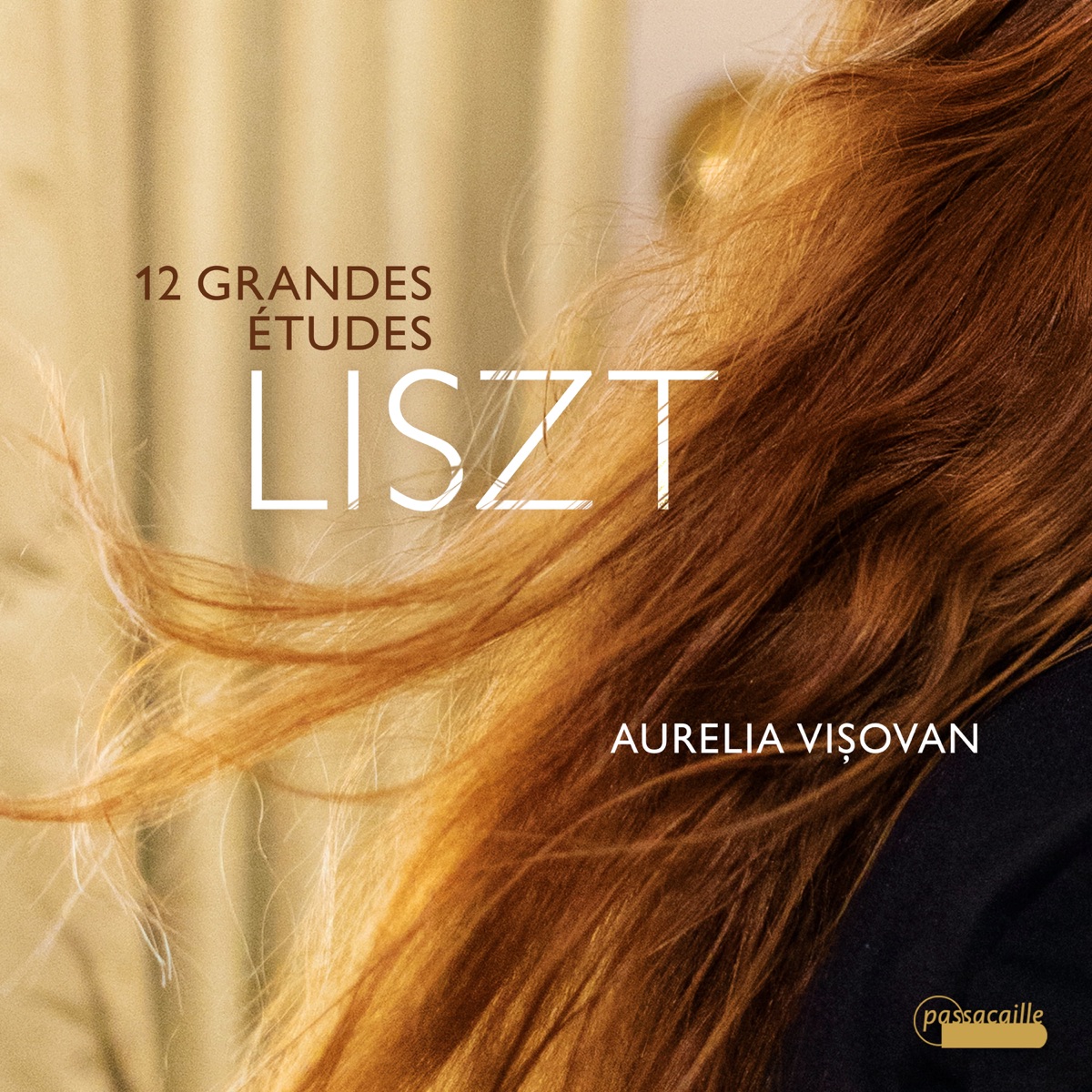 Liszt: 12 Grandes Études, S. 137 by Aurelia Visovan album cover