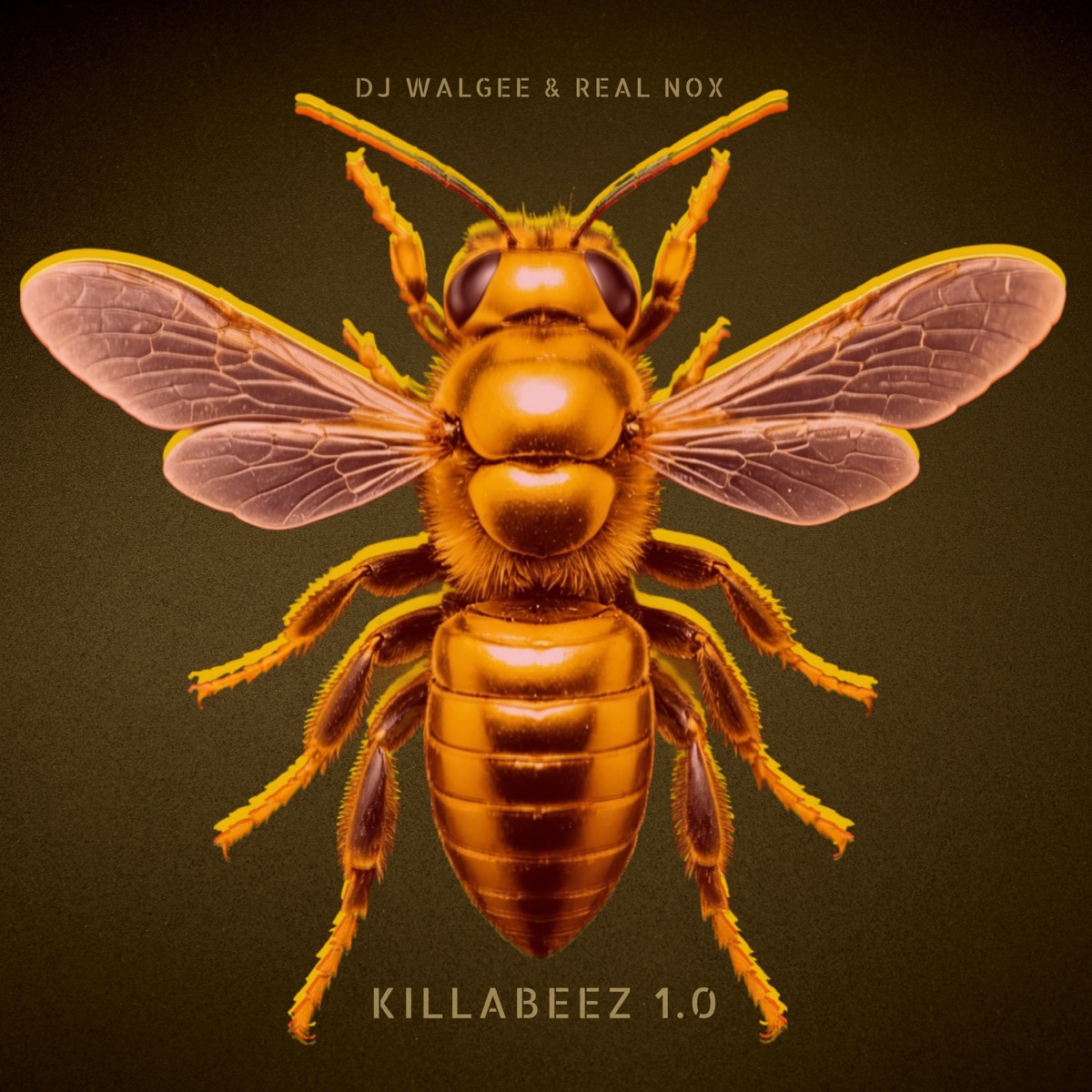 KILLABEEZ 1.0 - Single by DJ Walgee & Real Nox album cover