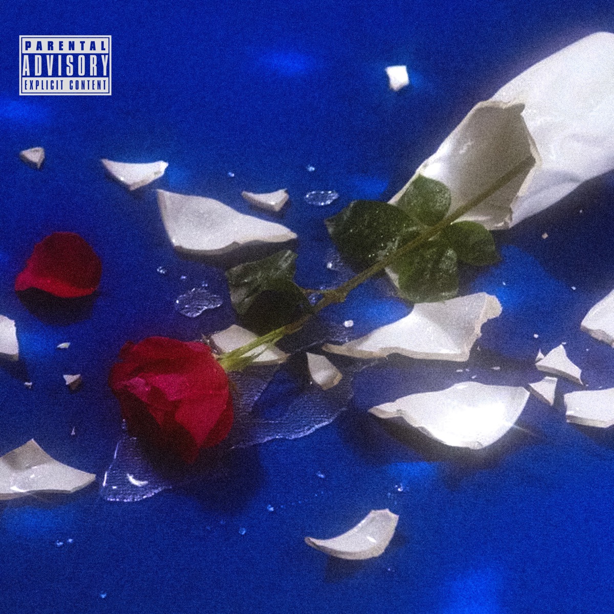 PERDÓNAME N' LAS FLORES (feat. sann) - Single by Kyoto album cover