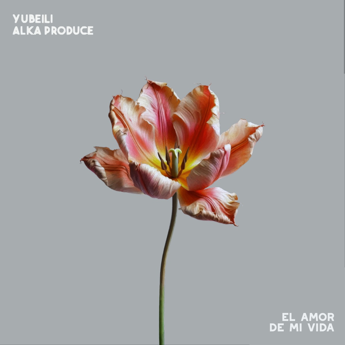 El Amor De Mi Vida - Single by Yubeili & Alka Produce album cover