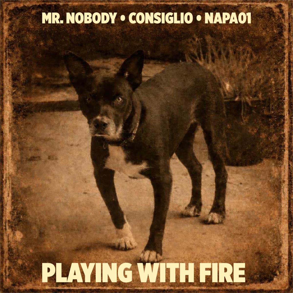 Playing With Fire (feat. Michael Consiglio & Napa01) - Single by Mr. Nobody album cover