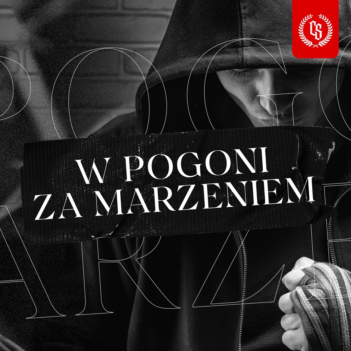 W pogoni za marzeniem (feat. ATR MF, Arturo JSP, Profus PPZ & WOWO) - Single by Bonus RPK, Ciemna Strefa & Peja album cover