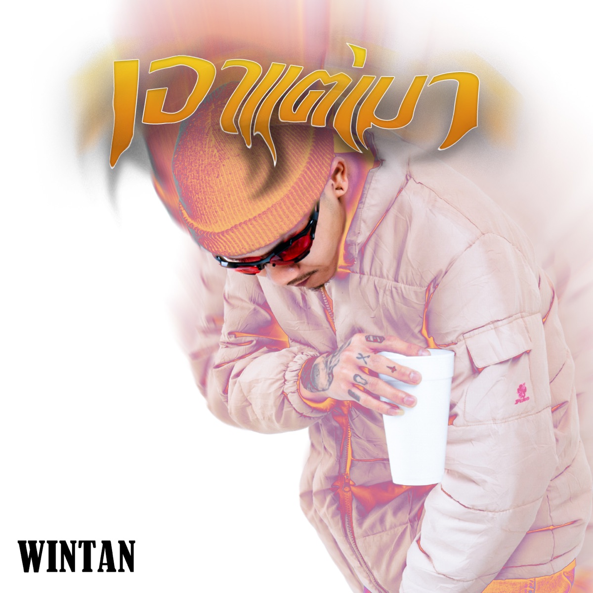 เอาแต่เมา - Single by Wintan album cover