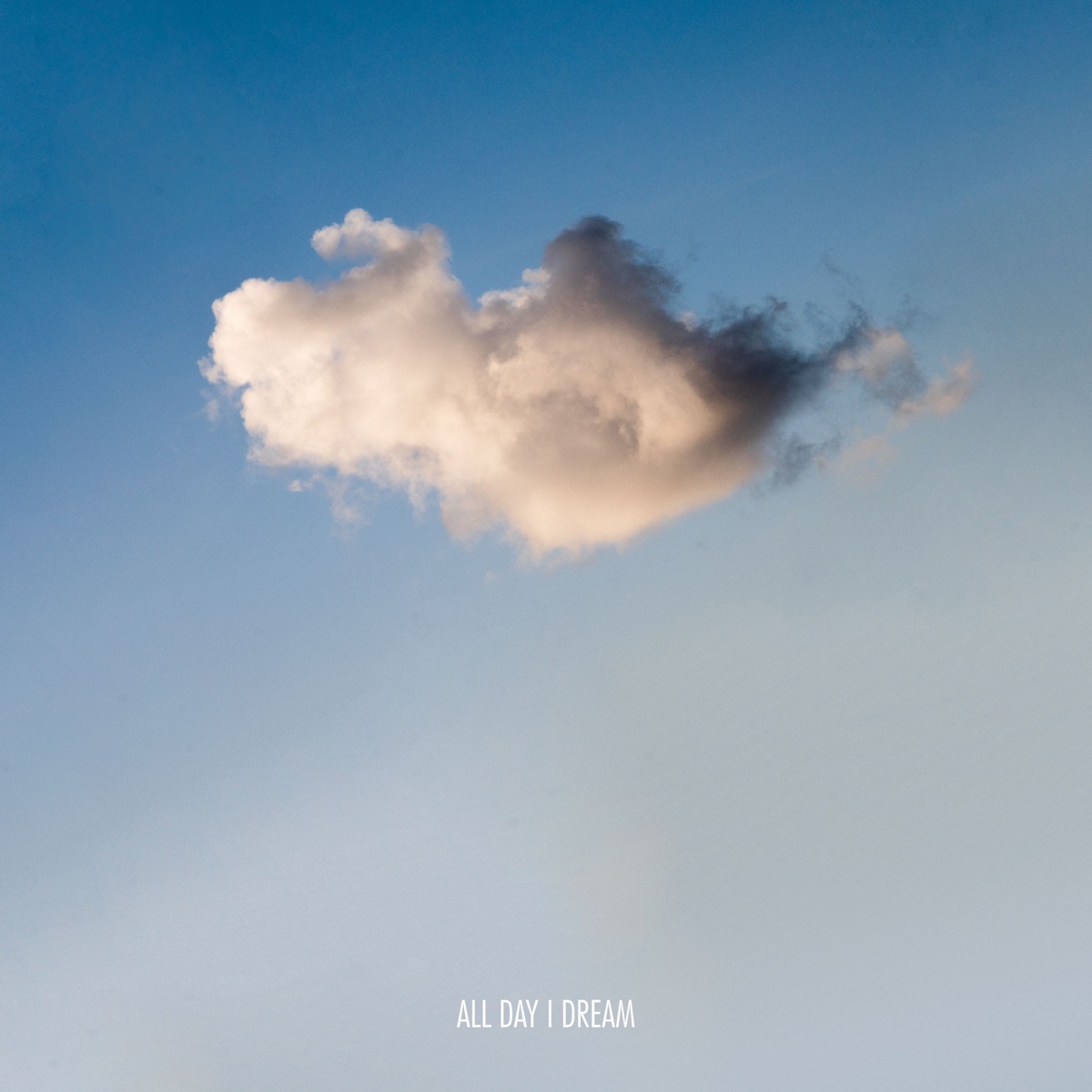Symptom of the Sound - Single by Hoj & Newman album cover