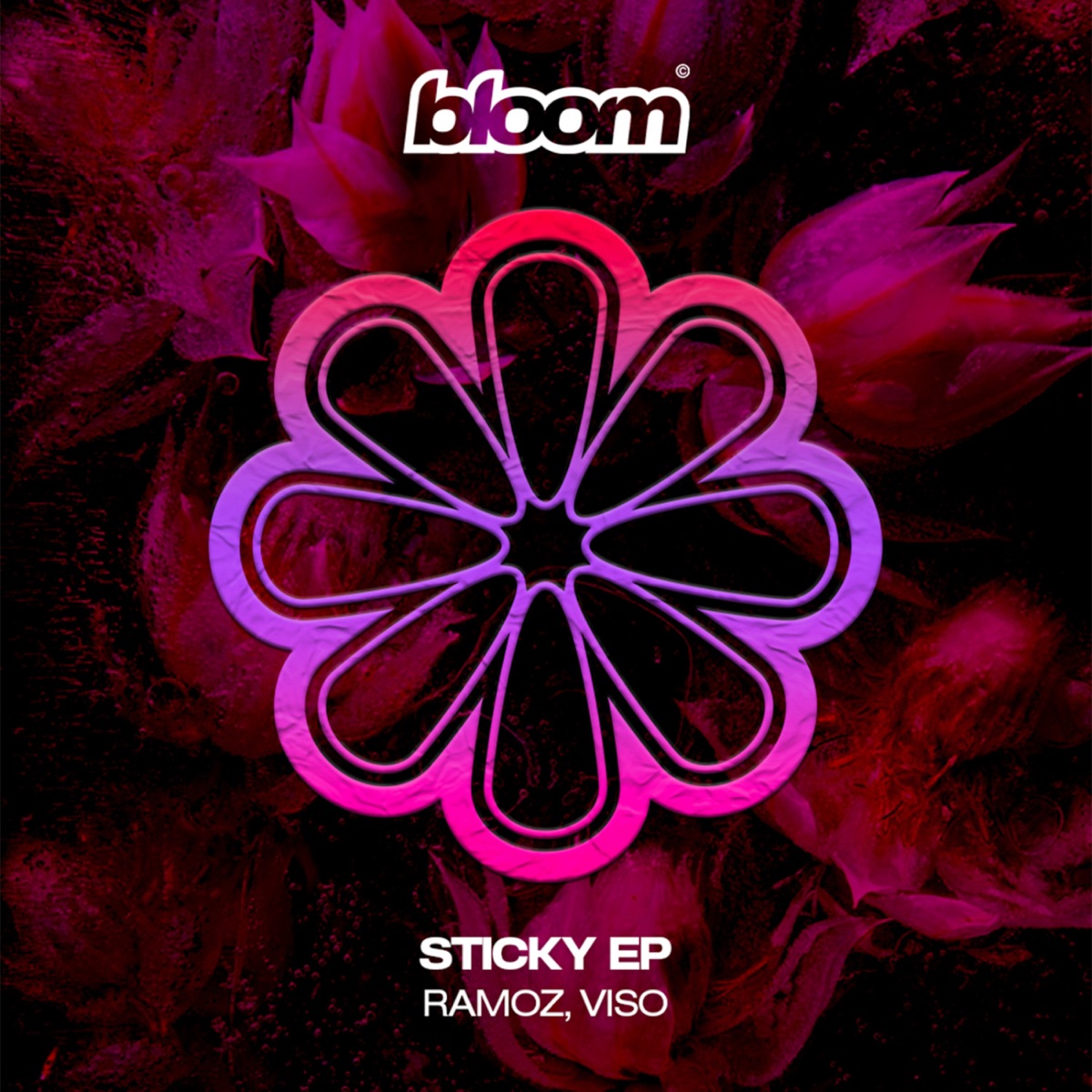 Sticky - Single by Ramoz & Viso album cover