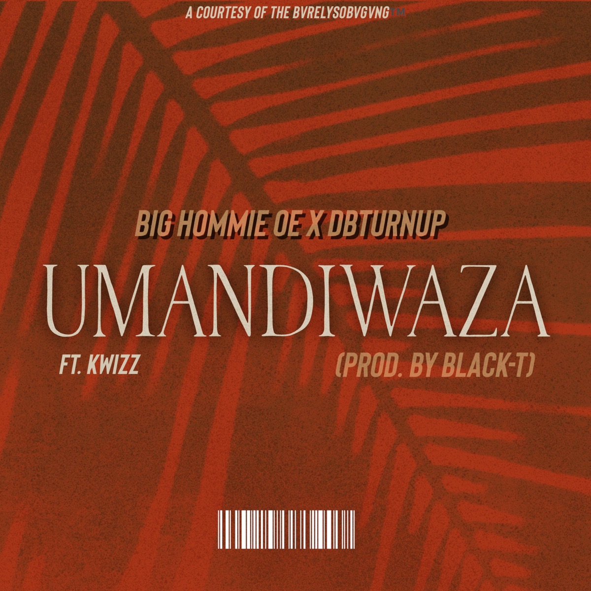 UMANDIWAZA (feat. Kwizz) - Single by Big Hommie OE & DBturnUp album cover