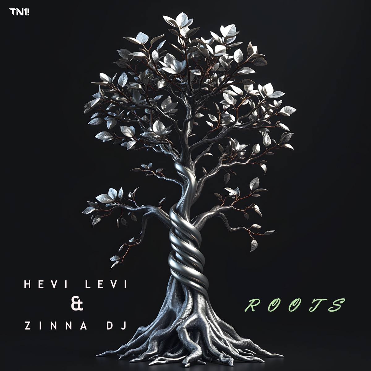 Roots - Single by Hevi Levi & Zinna Dj album cover