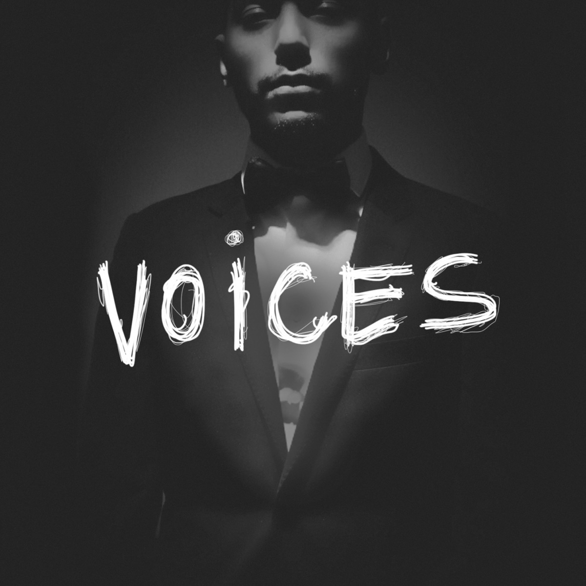 Voices by Rude Kid album cover
