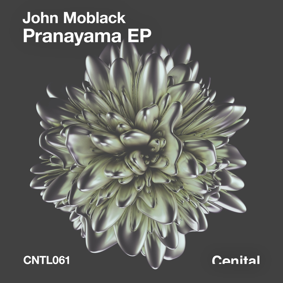 Pranayama by John Moblack album cover