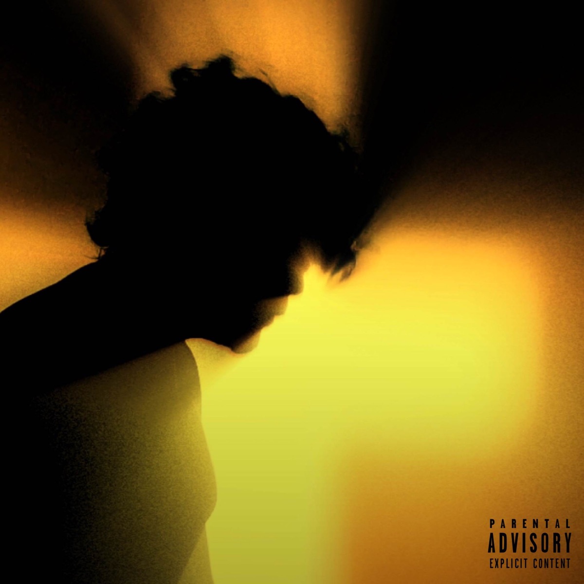 MENTAL TROUBLE - Single by Dyiang Rhythm og album cover