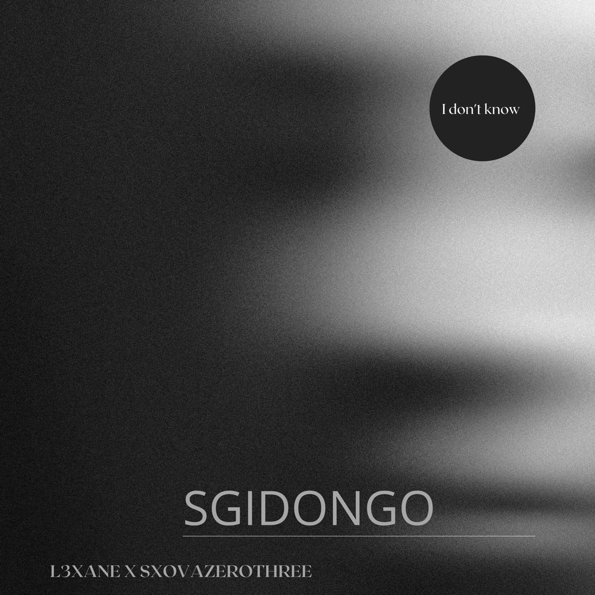 I don't know(Sgidongo) - Single by L3xane & SxovaZeroTree album cover