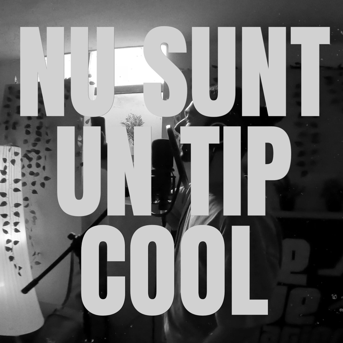 Nu sunt un tip cool - Single by Antilectii album cover