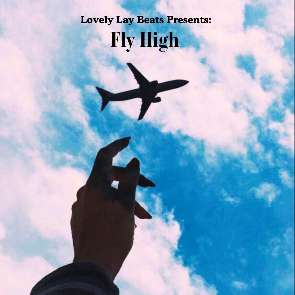 Fly High by Lovely Lay Beats album cover