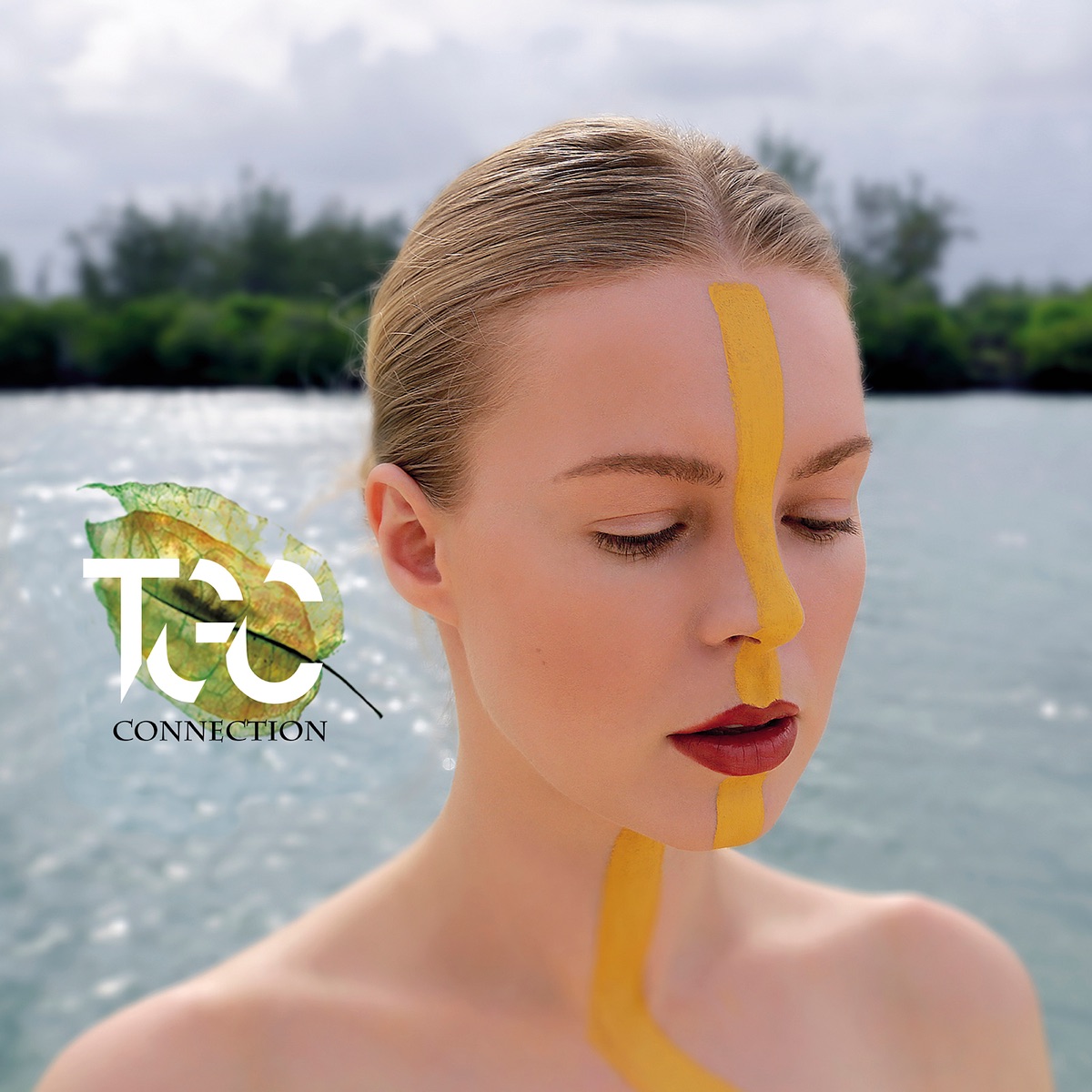 Connection by TGC album cover