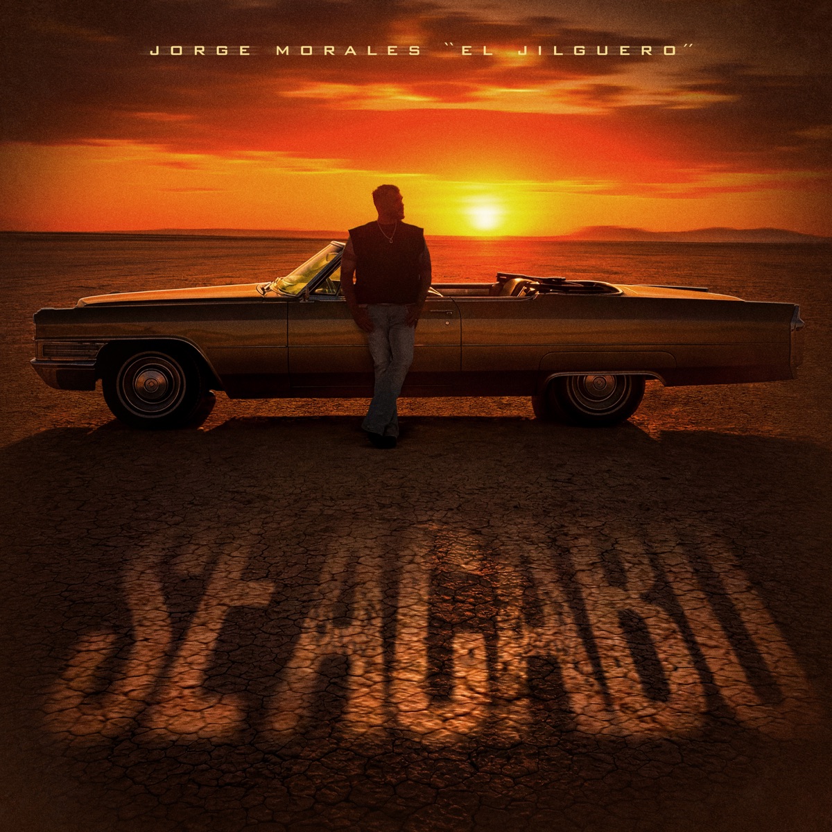 Se Acabó - Single by Jorge Morales El Jilguero album cover