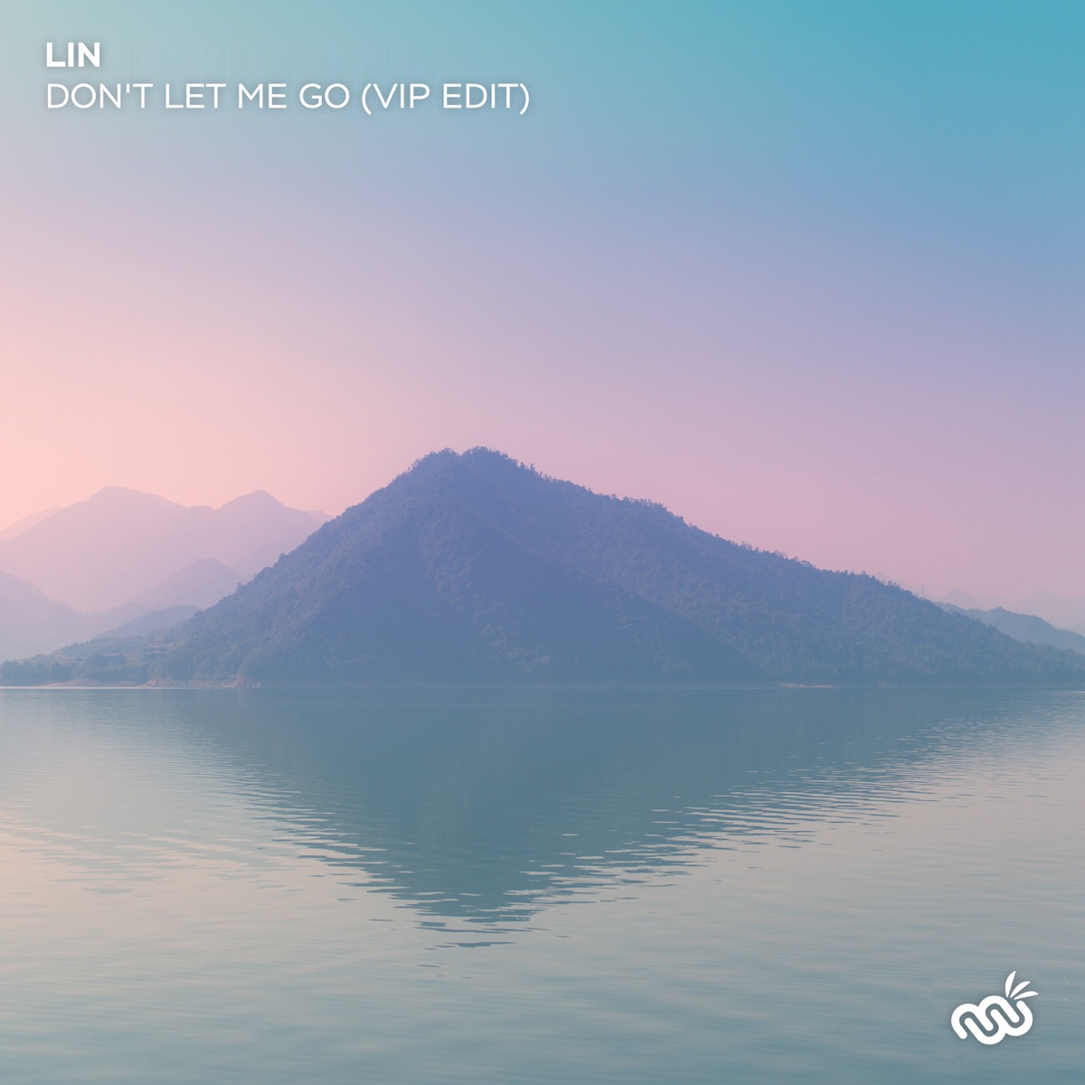 Don't Let Me Go (VIP Edit) - Single by LiN album cover
