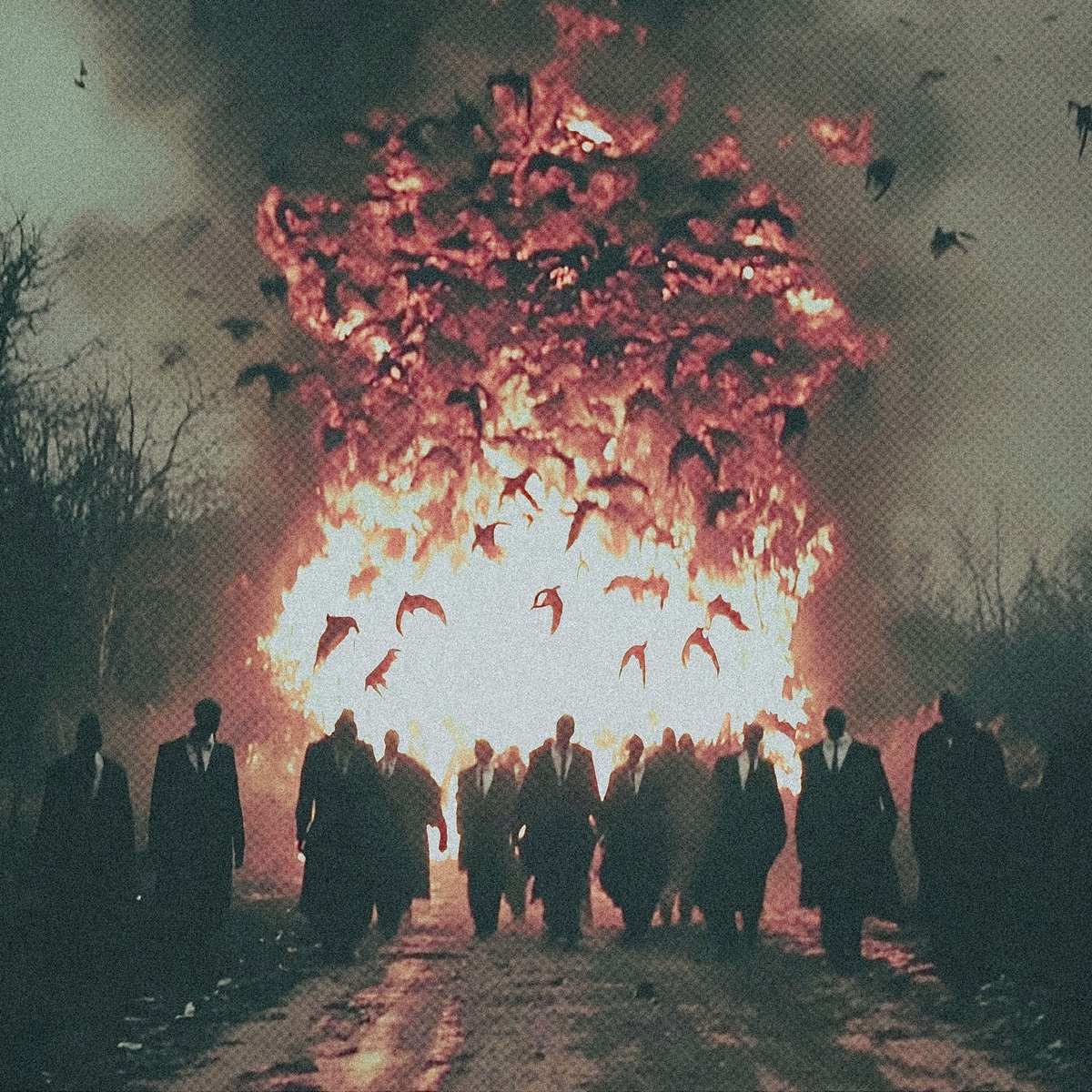 MUNNIZZA (feat. BINNU, Viruni, REMÒH & Todd (Italy)) by PODISTI album cover