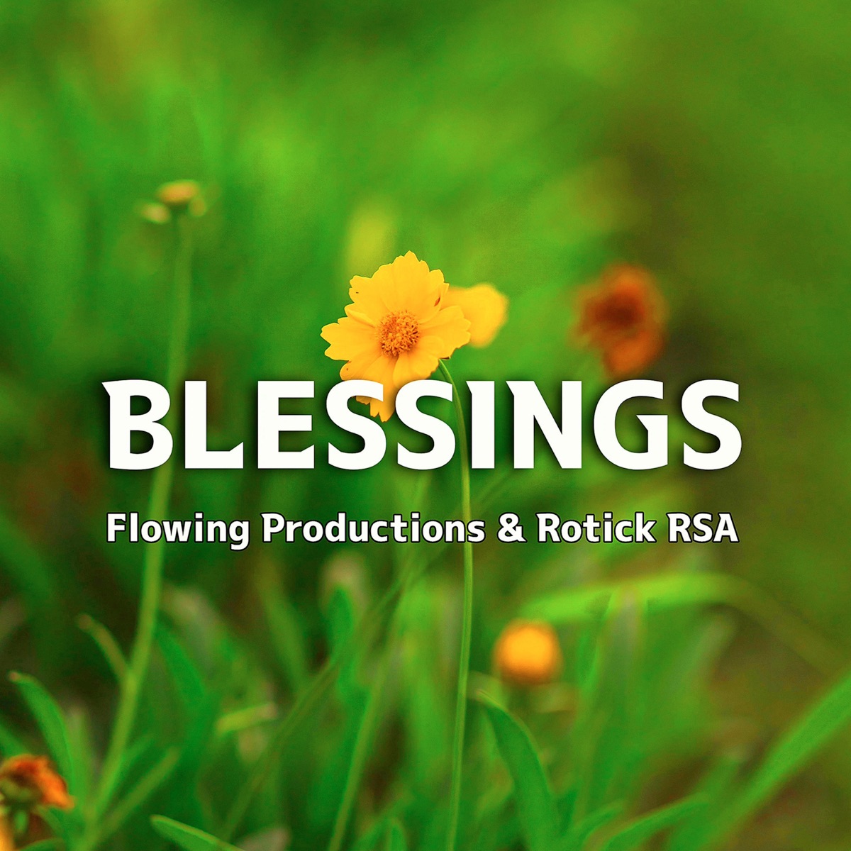 Blessings - Single by Flowing Productions & Rotick RSA album cover