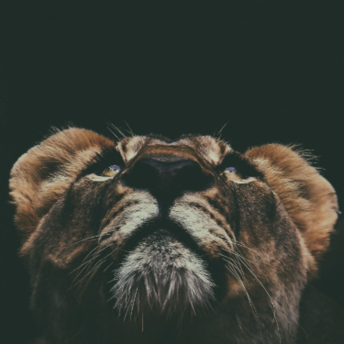 Harvard (feat. Jozman & Nate rsa) - Single by FutureSA, Sabs & Djy'Tumie album cover