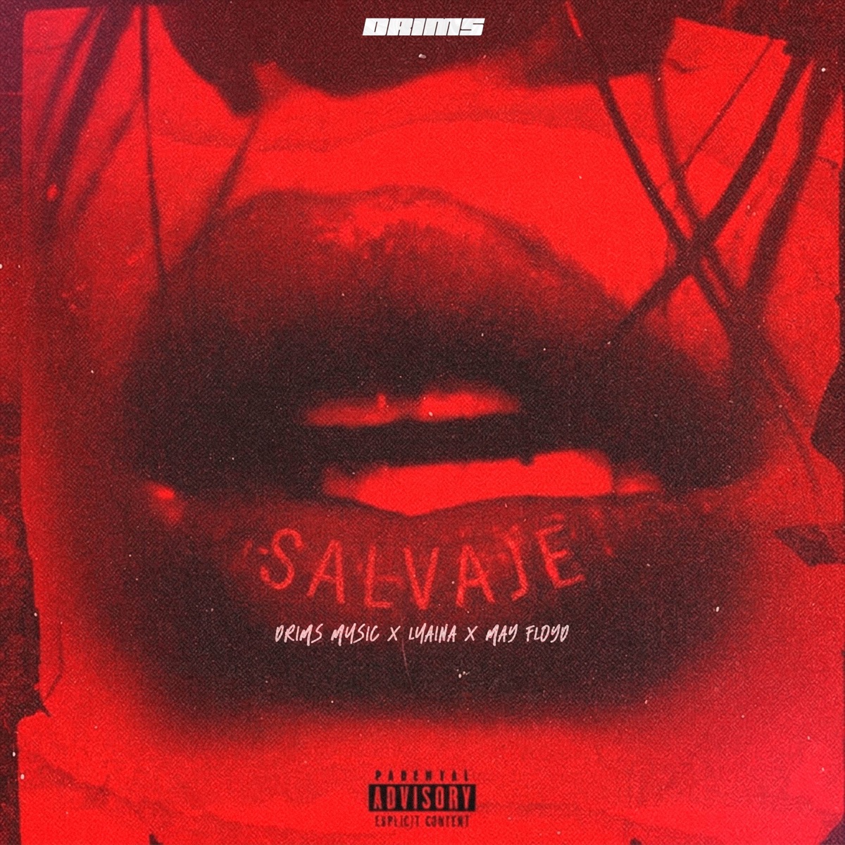 Salvaje - Single by Drims Music, May Floyd & Luaina album cover