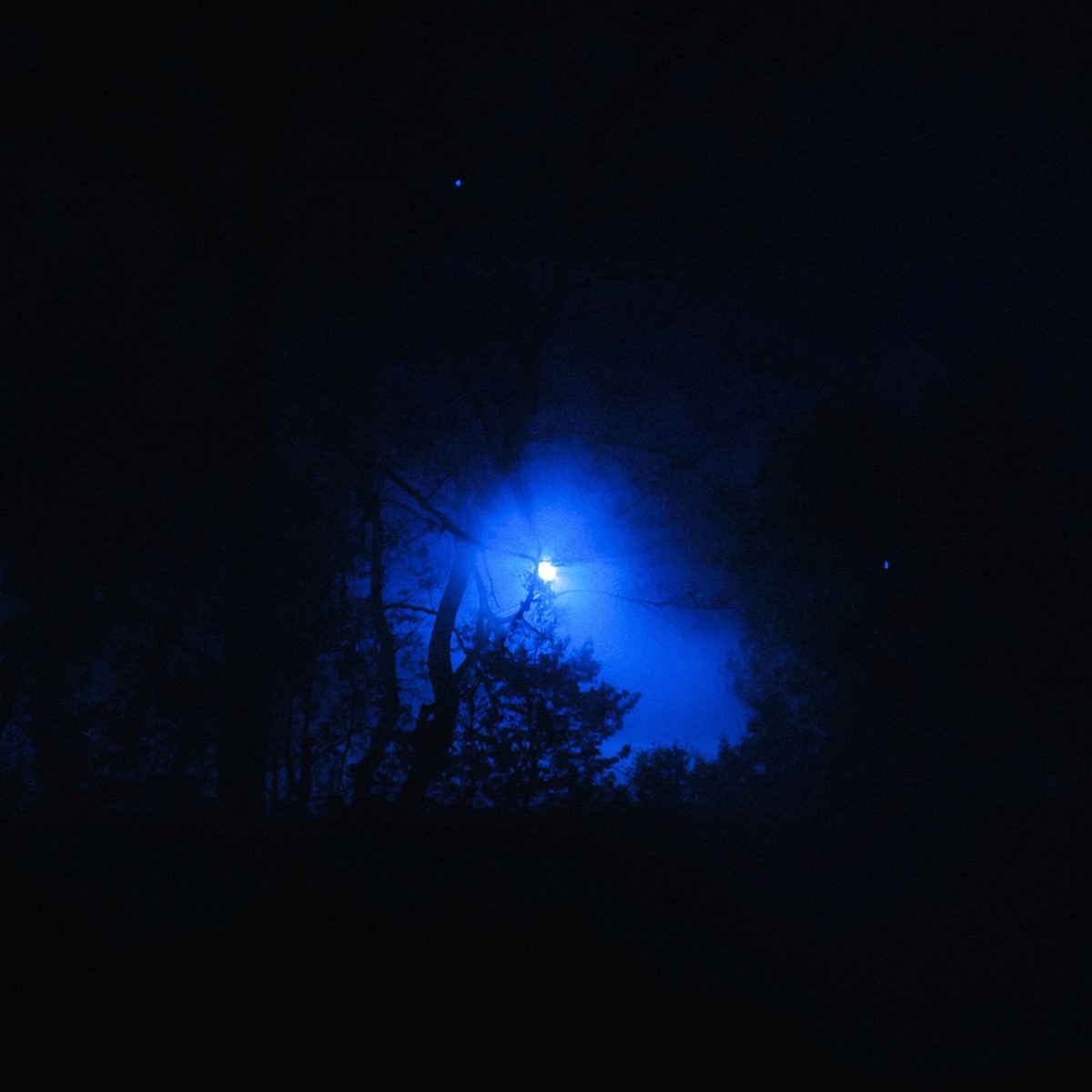 Evening Wind - Single by suffershade & Rōōh album cover
