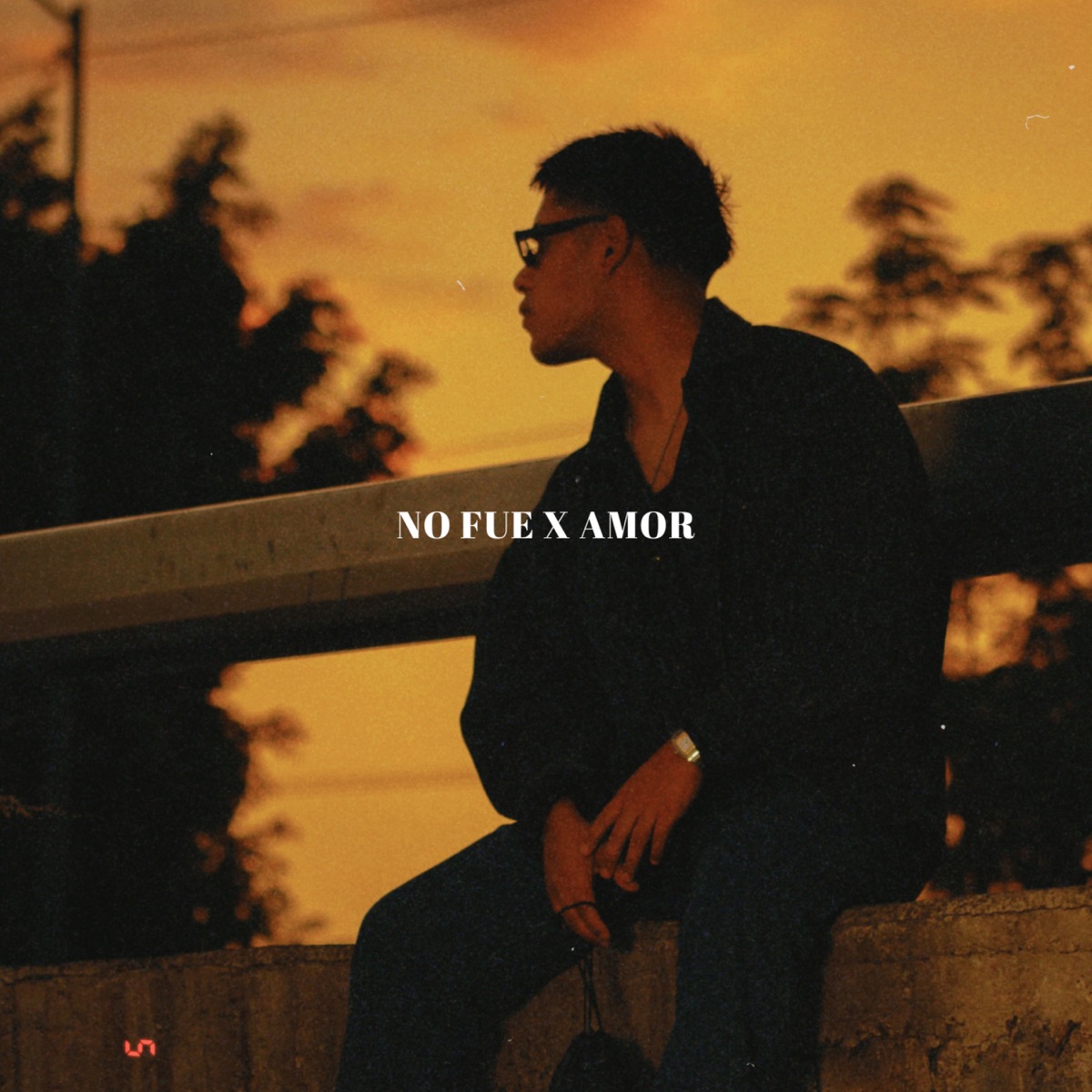 No Fue X Amor - Single by Angel Savior album cover