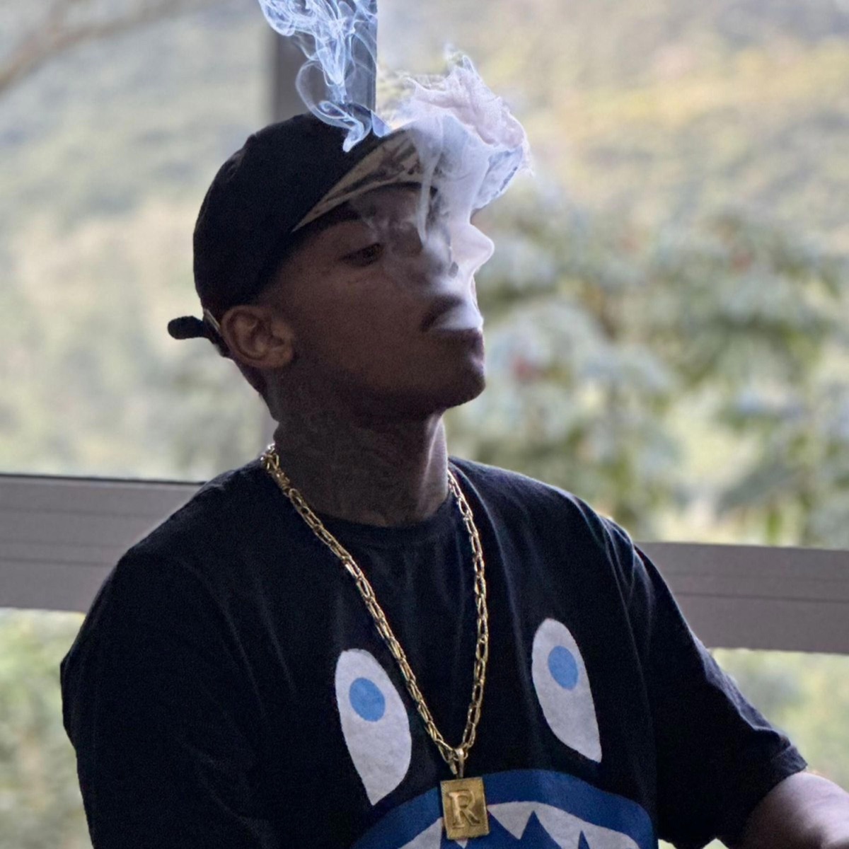 TREPA TREPA x SÓ CAVUCADA - Single by Dj Rayan album cover