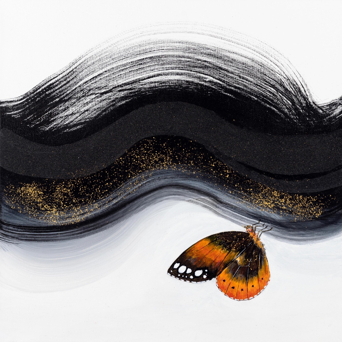 Somewhere, a Butterfly Sings by Kevin Du album cover
