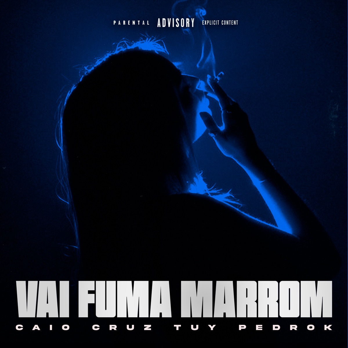 Vai Fuma Marrom - Single by Pedrok, Caio Cruz, Tuy & Culture Art Music album cover
