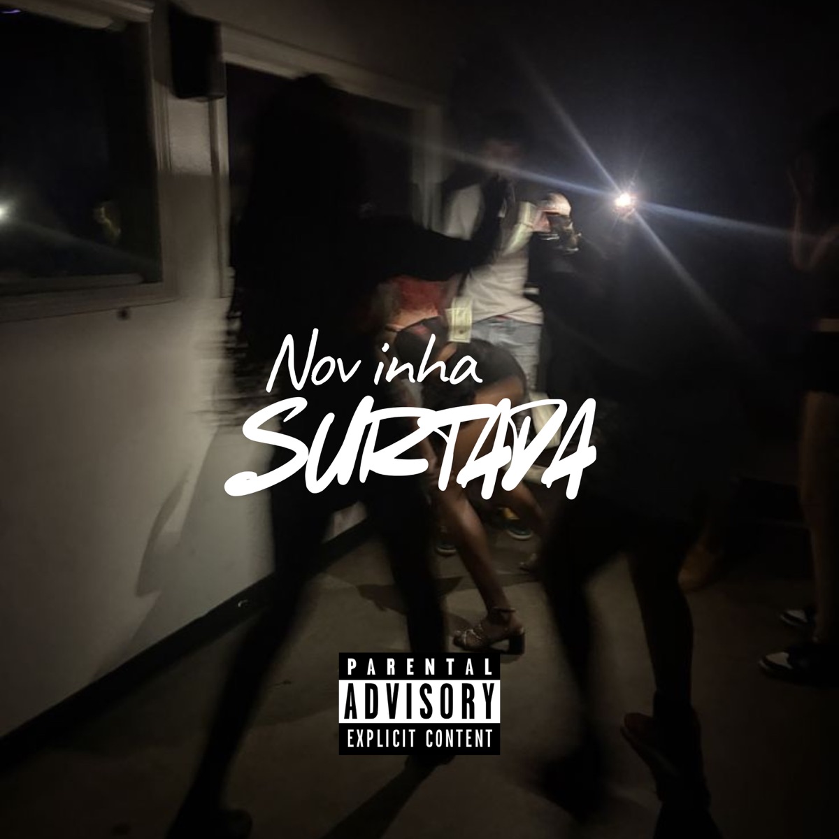 Novinha Surtada - Single by MC LK DA INESTAN & DJ RCINCO album cover