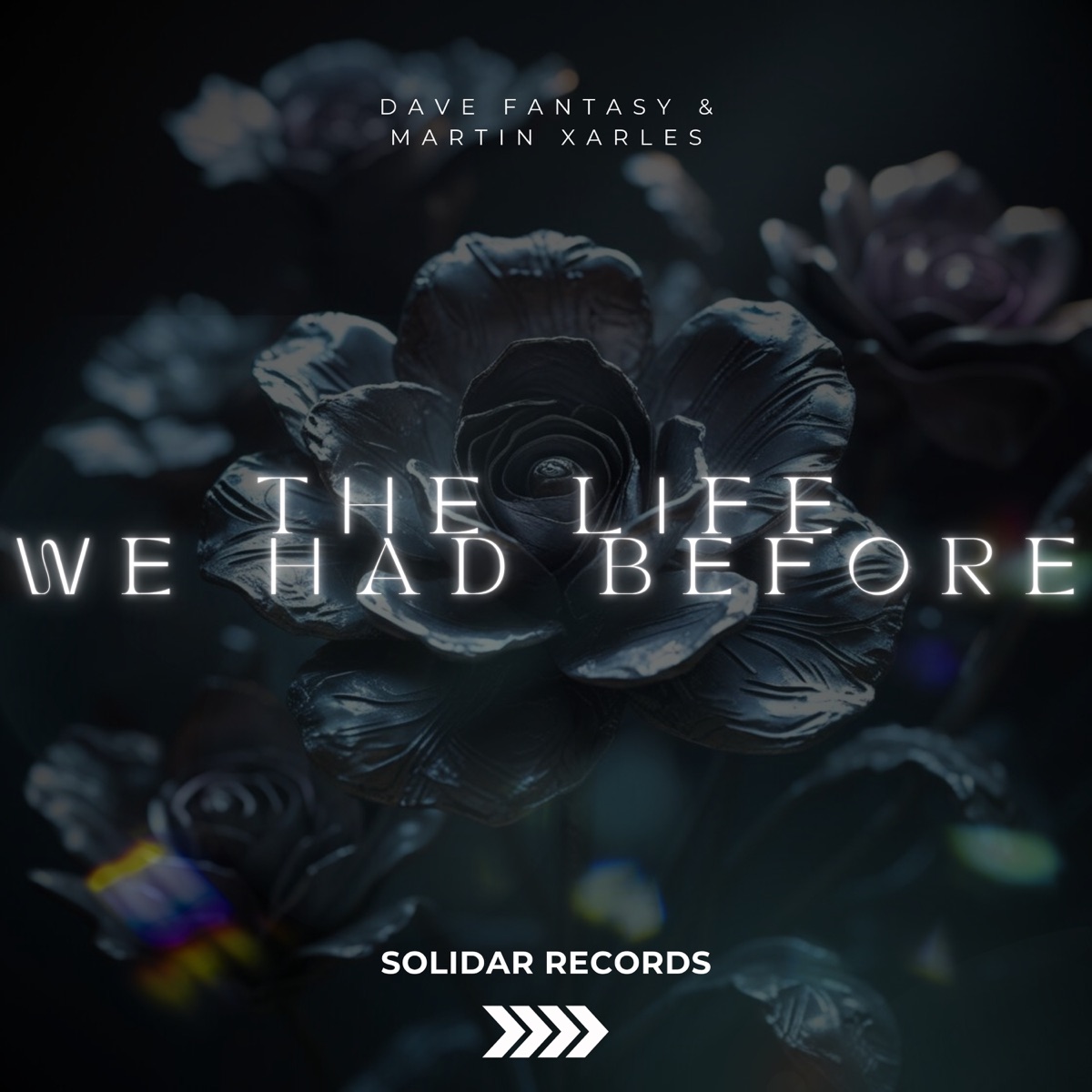 The Life We Had Before - Single by Solidar Recordings, Dave Fantasy & Martin Xarles album cover