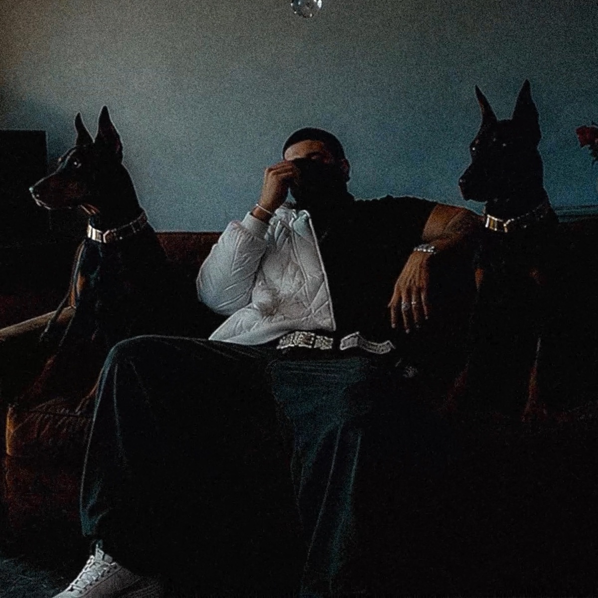 Dobermanns na sala - Single by Nicx album cover