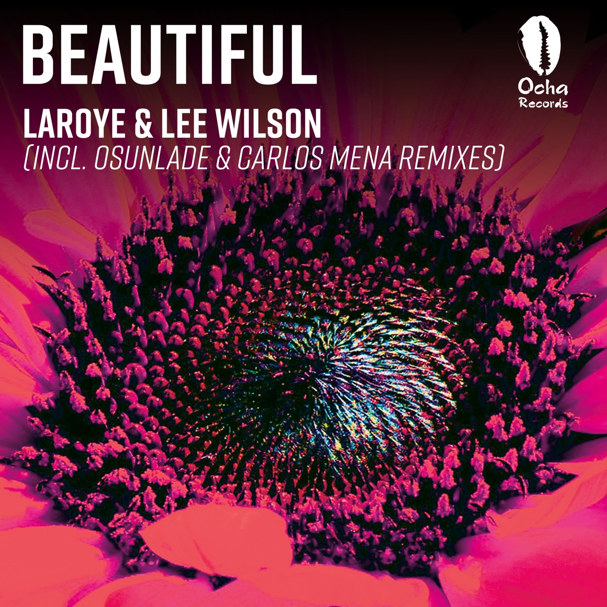 Beautiful by Laroye & Lee Wilson album cover