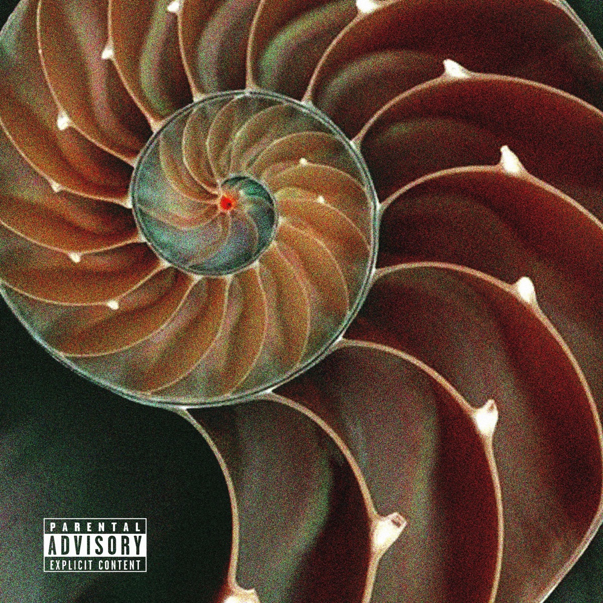 CARACOL (feat. Lihuel Yair, velocista wave & Ill One) - EP by malaierba album cover