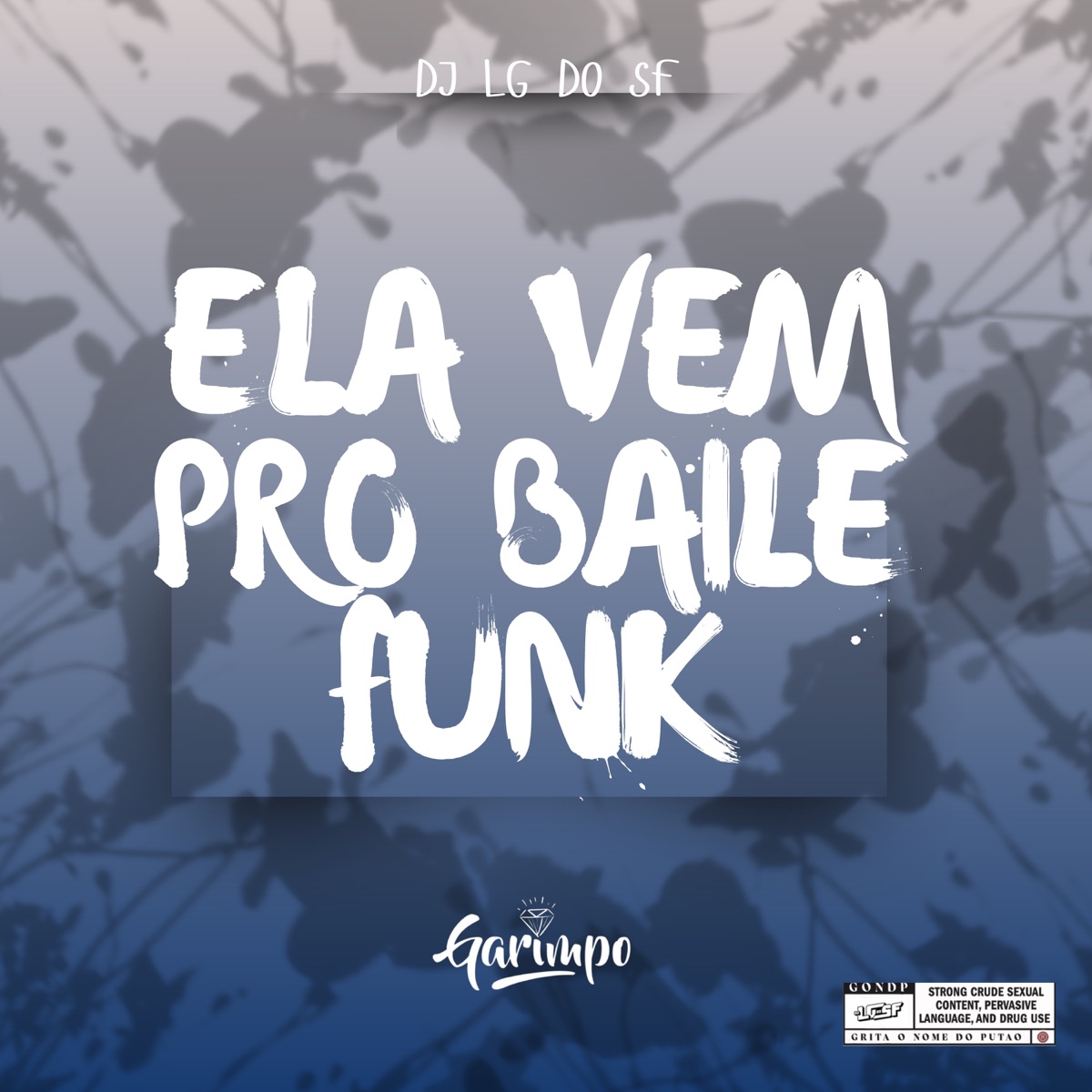 Ela vem pro Baile Funk - Single by DJ LG DO SF album cover