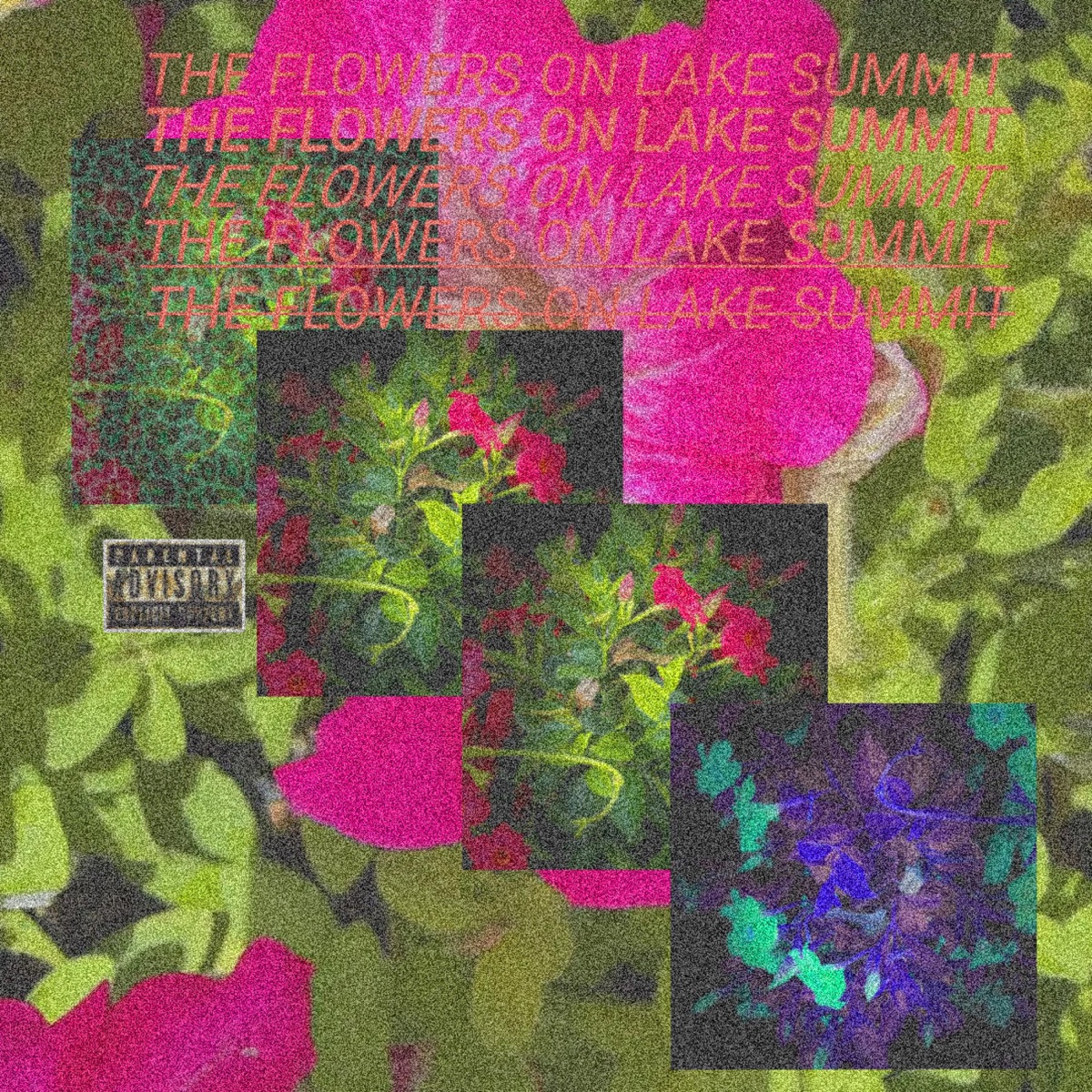 The flowers on lake summit (feat. ICYDE) [Radio Edit] - Single by PY0 FL0PP3R album cover