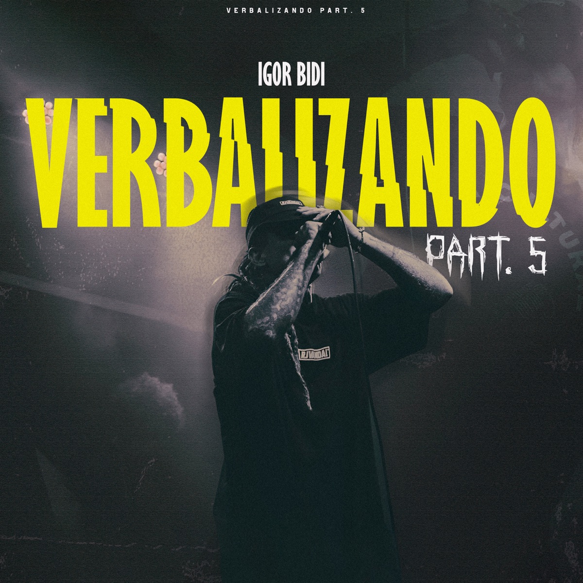 Verbalizando, Pt. 5 - Single by Igor Bidi & Terrordosbeats album cover