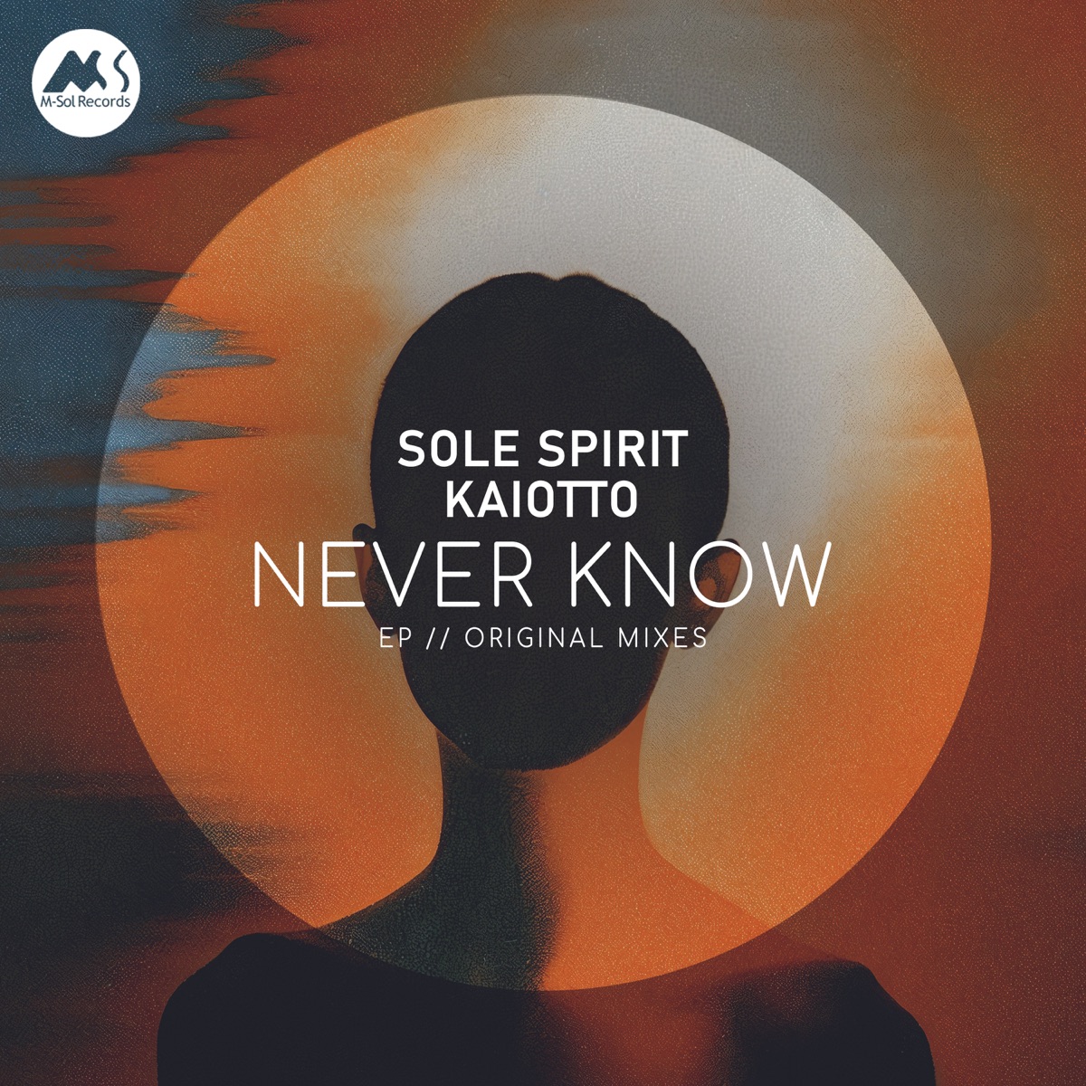 Never Know - Single by Sole Spirit & Kaiotto album cover