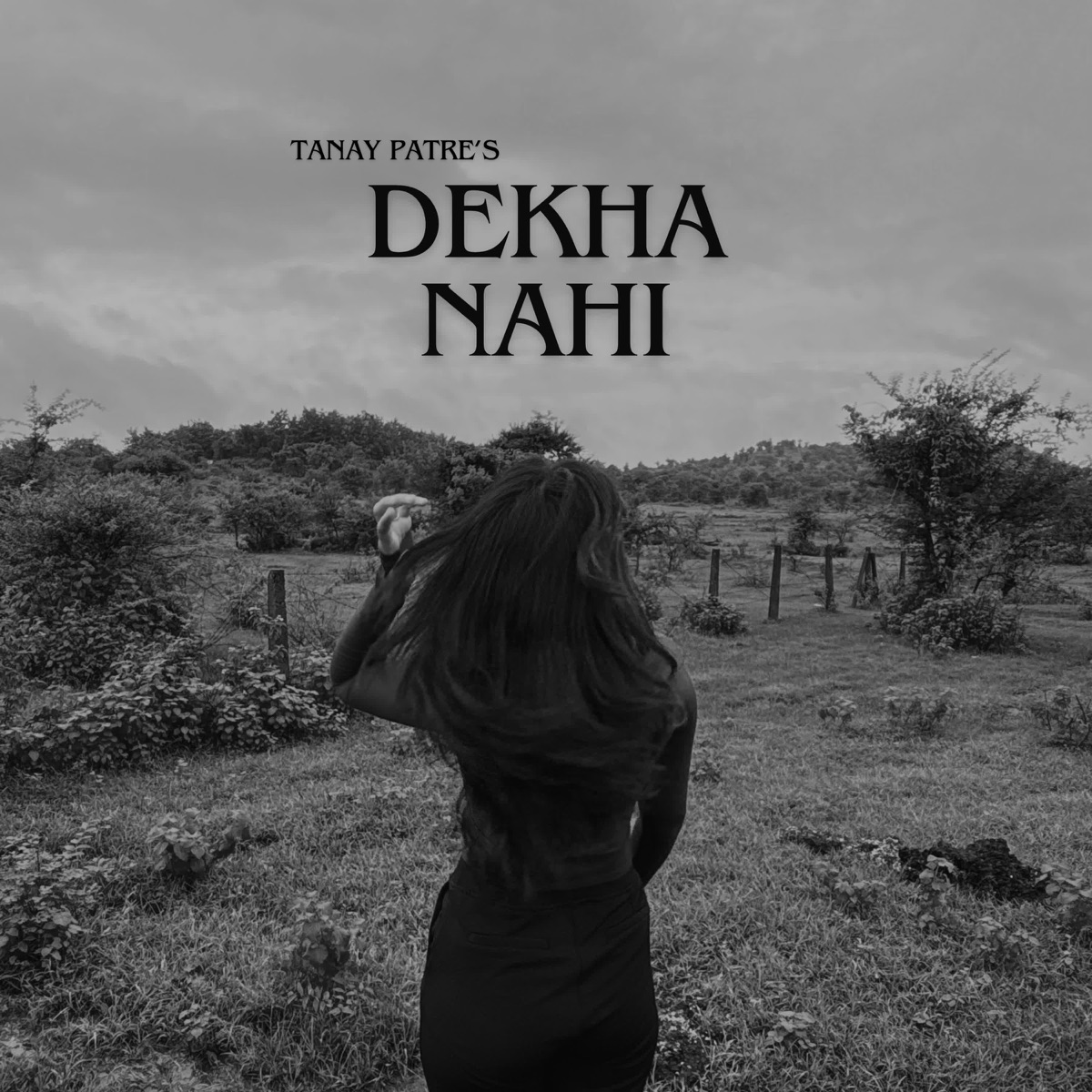 Dekha Nahi - Single by Tanay Patre album cover