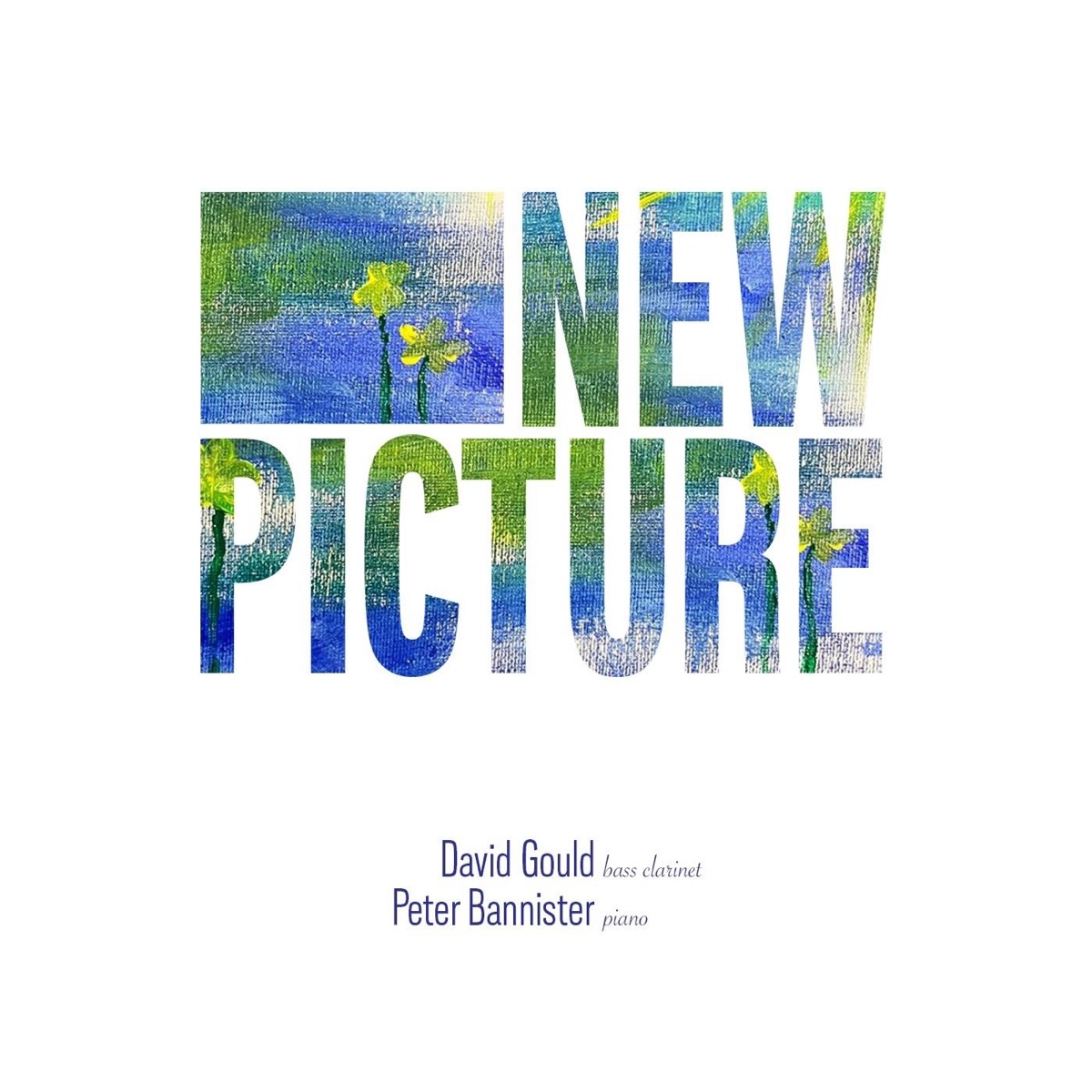 New Picture by David Gould & Peter Bannister album cover