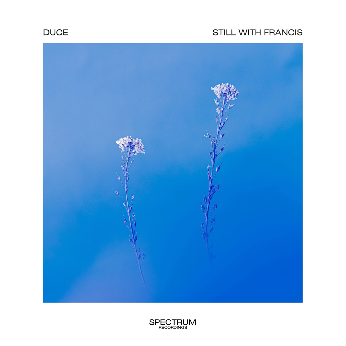 Still With Francis - Single by Duce album cover
