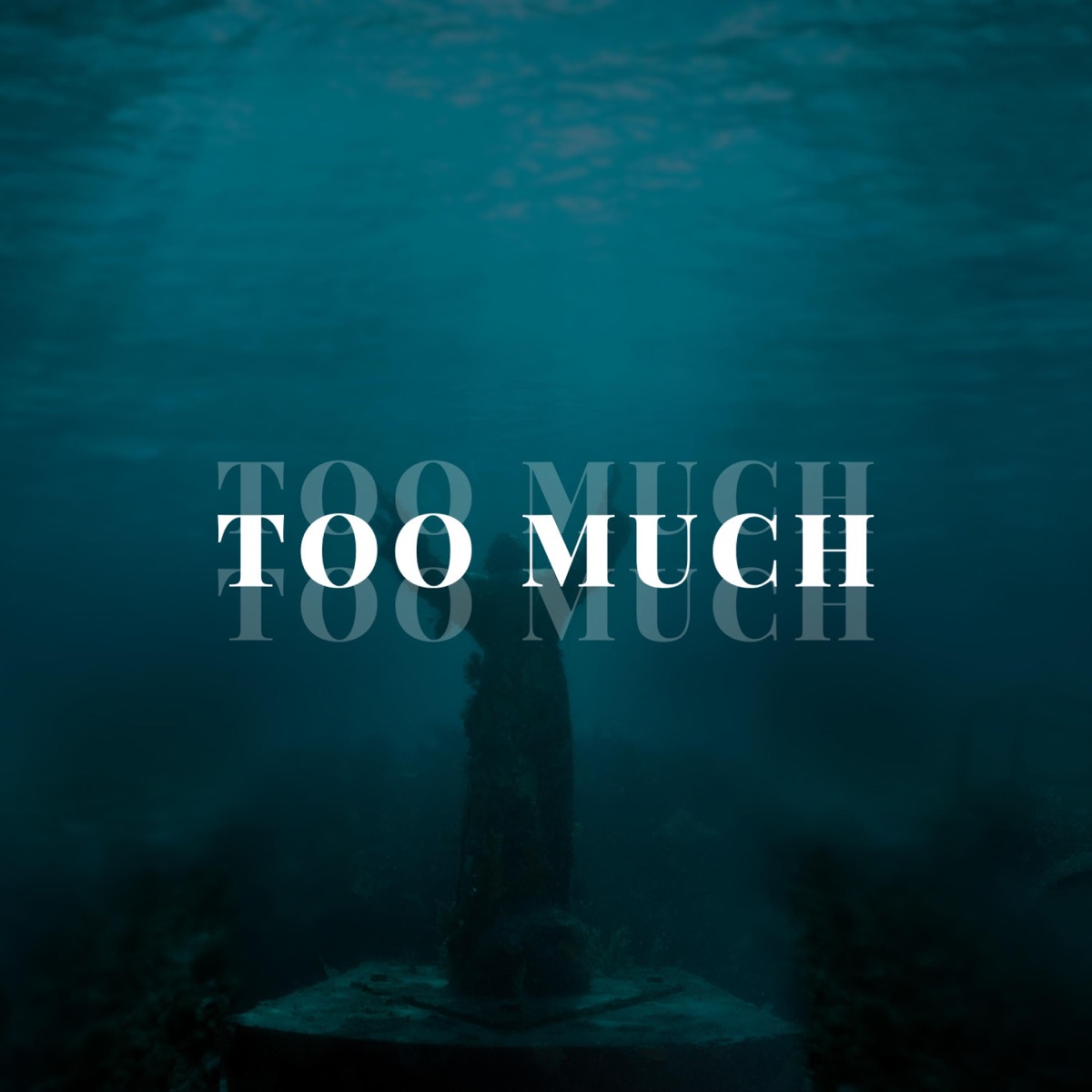 Too Much - Single by Ice Beats Slide & Sbuda Maleather album cover