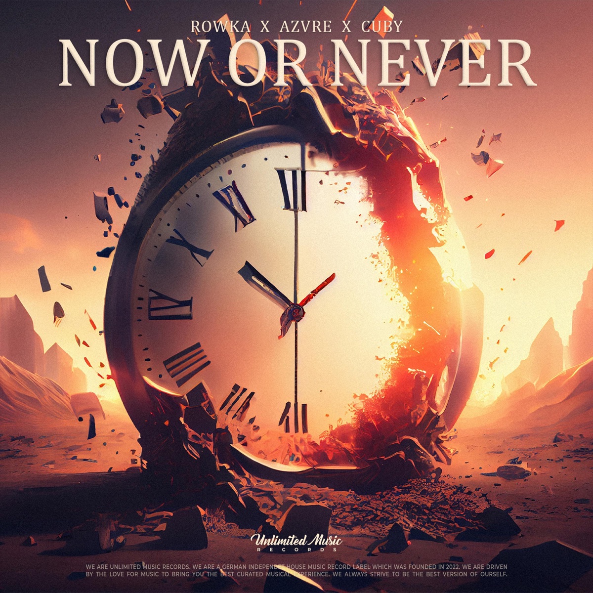 Now Or Never - Single by ROWKA, AZVRE & CUBY album cover