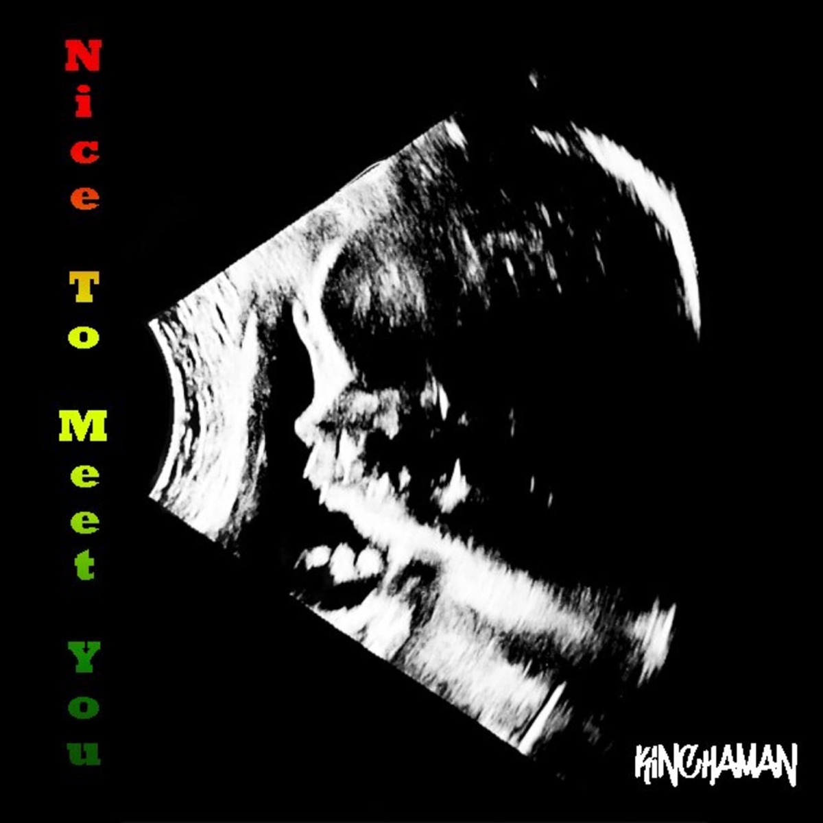 Nice to meet You - Single by Kinchaman album cover