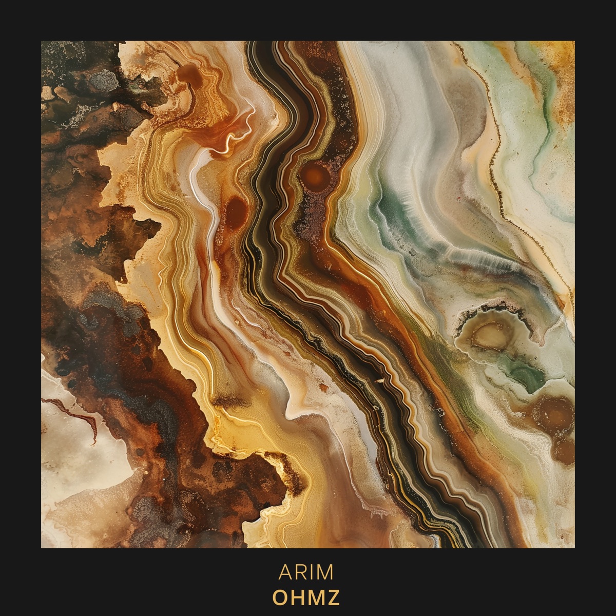 Arim - Single by Ohmz album cover