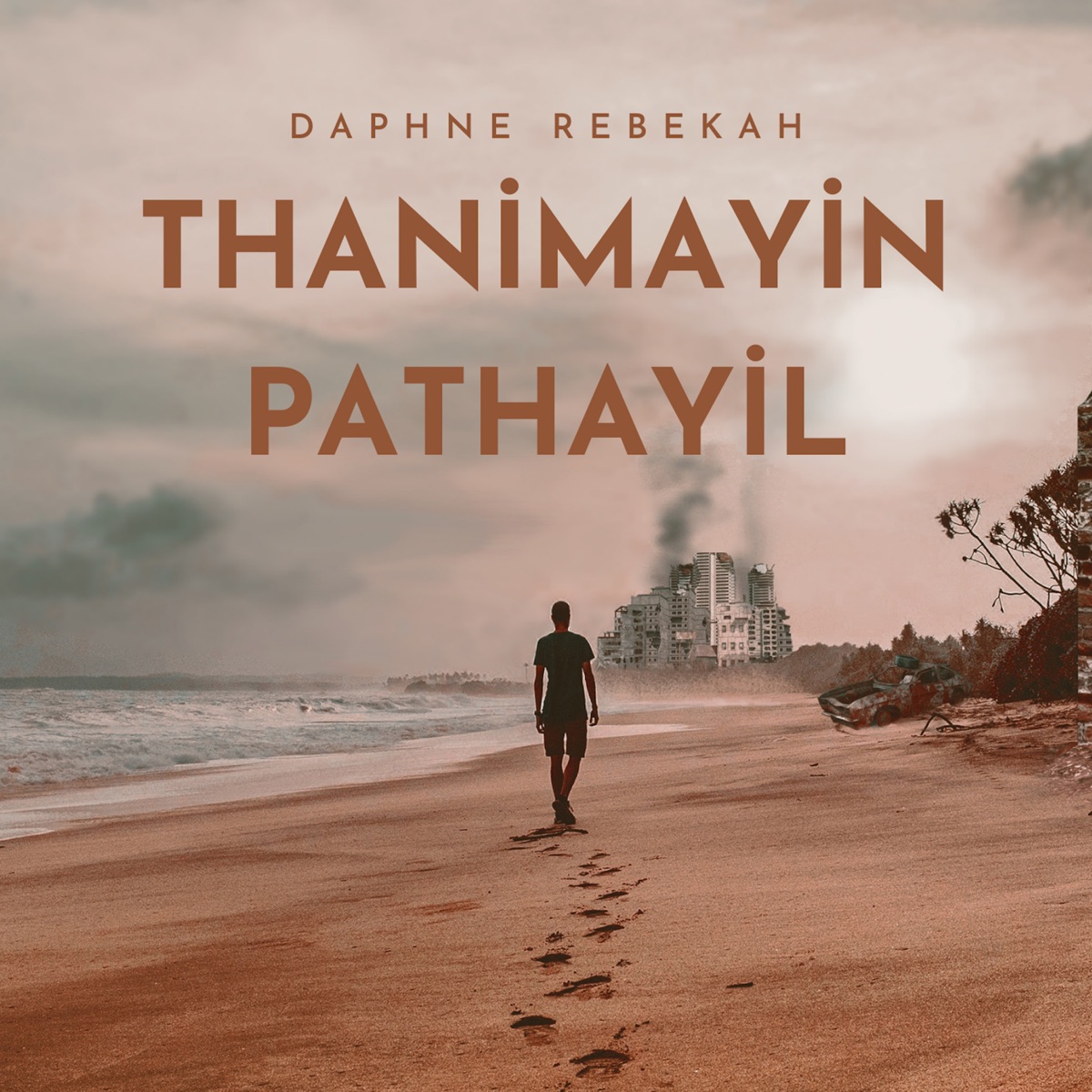 Thanimayin Pathayil (feat. Daniel Martin) [2025] - Single by Daphne Rebekah album cover
