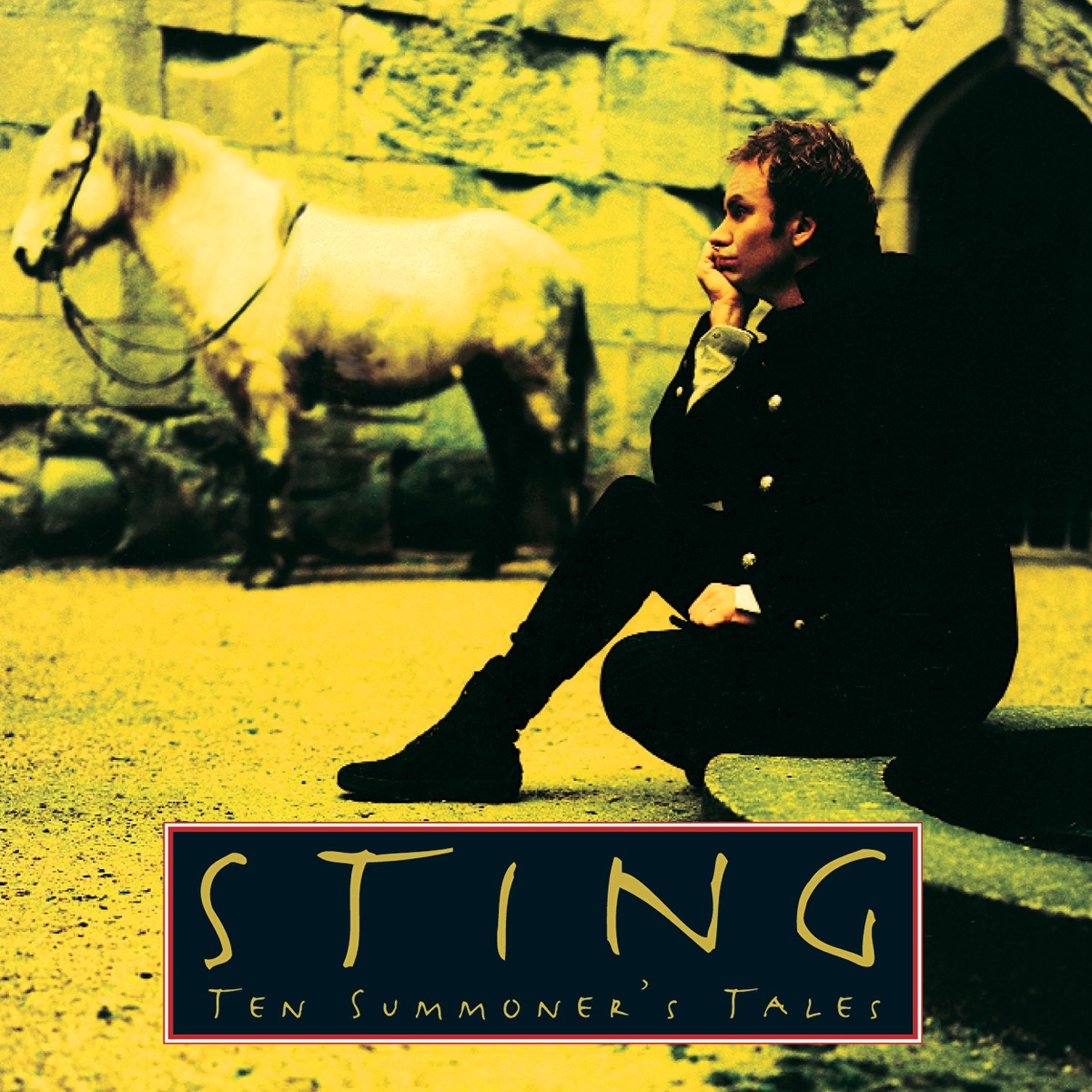 Ten Summoner's Tales by Sting album cover