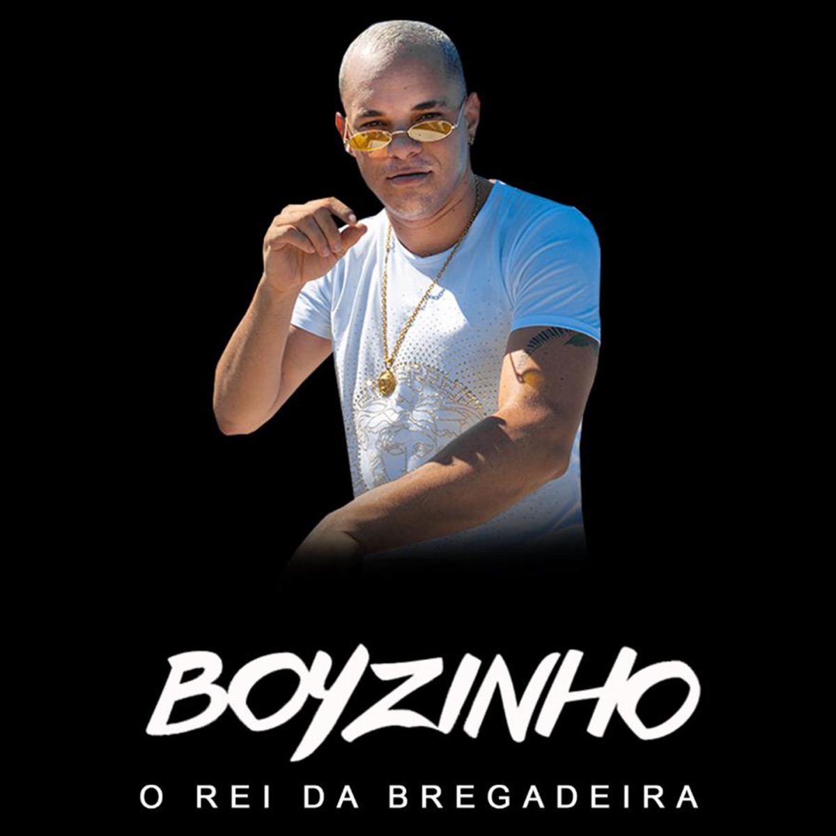 Trip do Boyzinho by Boyzinho o Rei da Bregadeira album cover